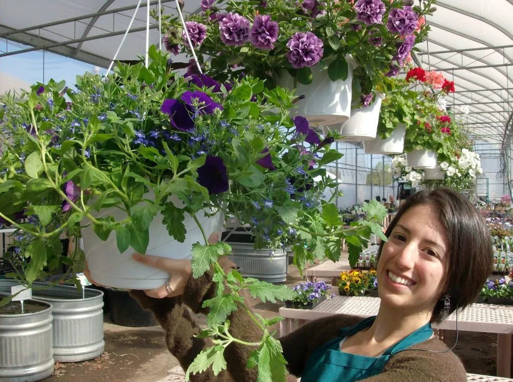 Local yard maintenance for beautiful yards in East Amherst, NY by Arbordale Gardens