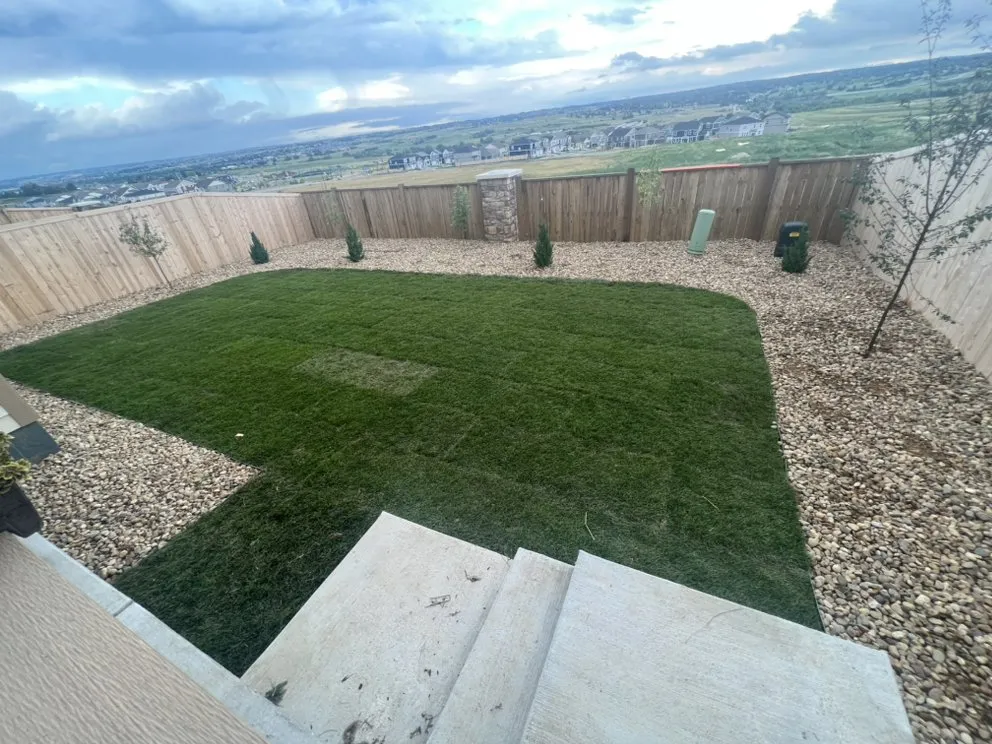Custom yard cleanup service experts serving Parker, CO - Arborea Landscape
