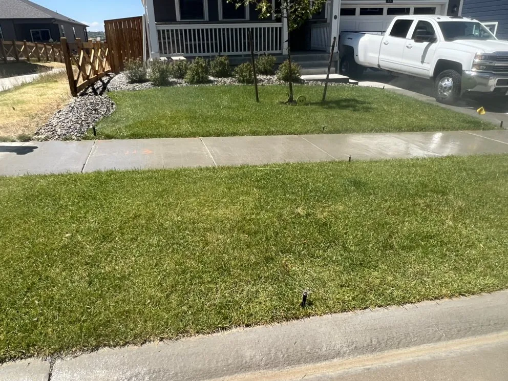 Trusted yard cleanup service for residential properties in Parker, CO by Arborea Landscape