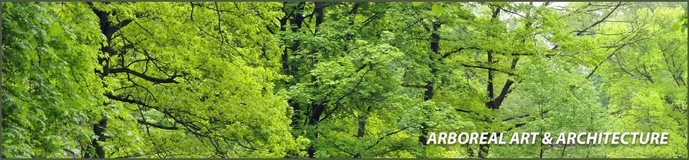 Affordable lawn mowing service for year-round maintenance in Wharton, TX by Arboreal Art & Architecture