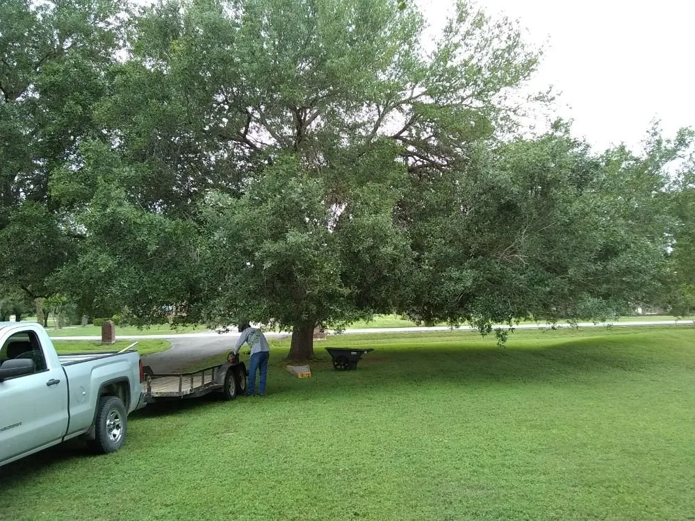 Trusted landscape installation in Wharton, TX - Arboreal Art & Architecture