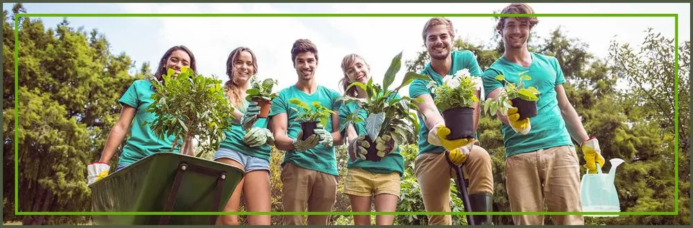 Affordable garden landscaping experts serving Wharton, TX - Arboreal Art & Architecture