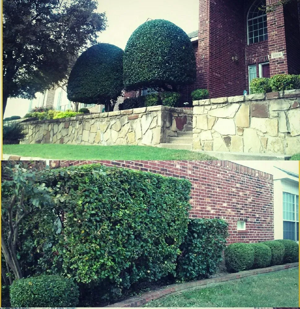 Custom lawn care service for outdoor upgrades in Rowlett, TX by Arboreal Lawn & Landscape