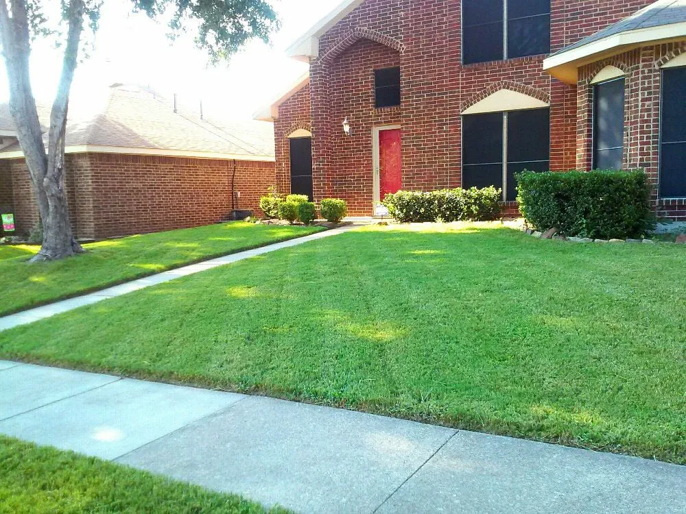 Top-rated residential landscaping for homes across Rowlett, TX - Arboreal Lawn & Landscape
