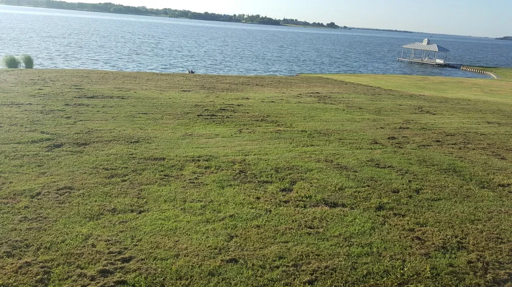 Affordable outdoor landscaping with custom design in Rowlett, TX by Arboreal Lawn & Landscape