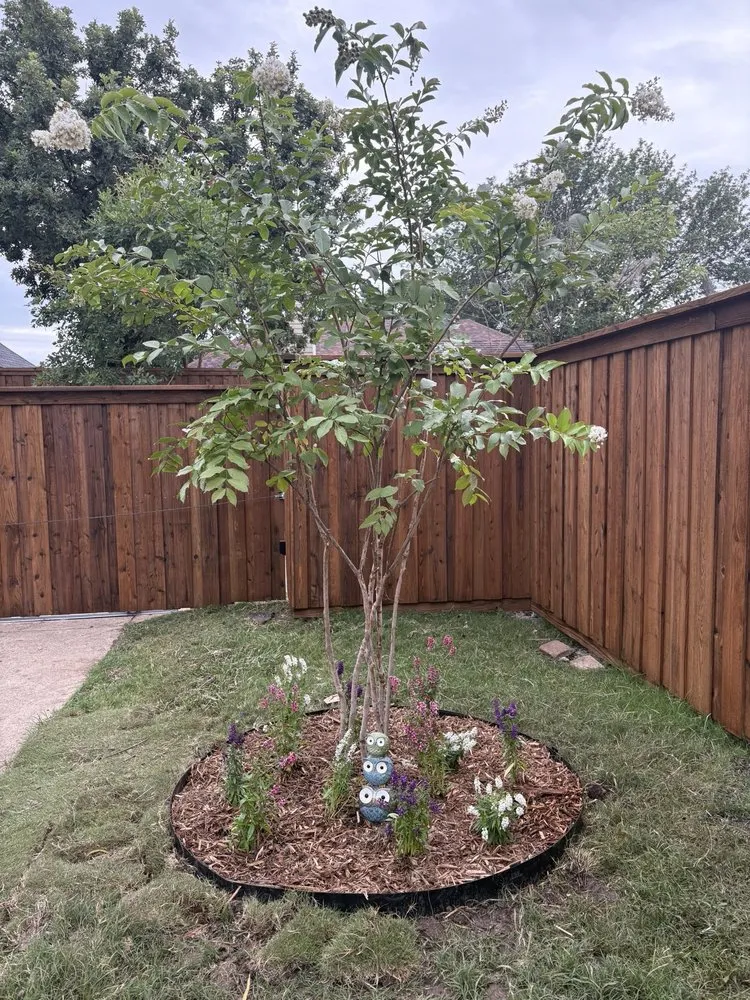 Reliable yard cleanup service in Rowlett, TX by Arboreal Lawn & Landscape