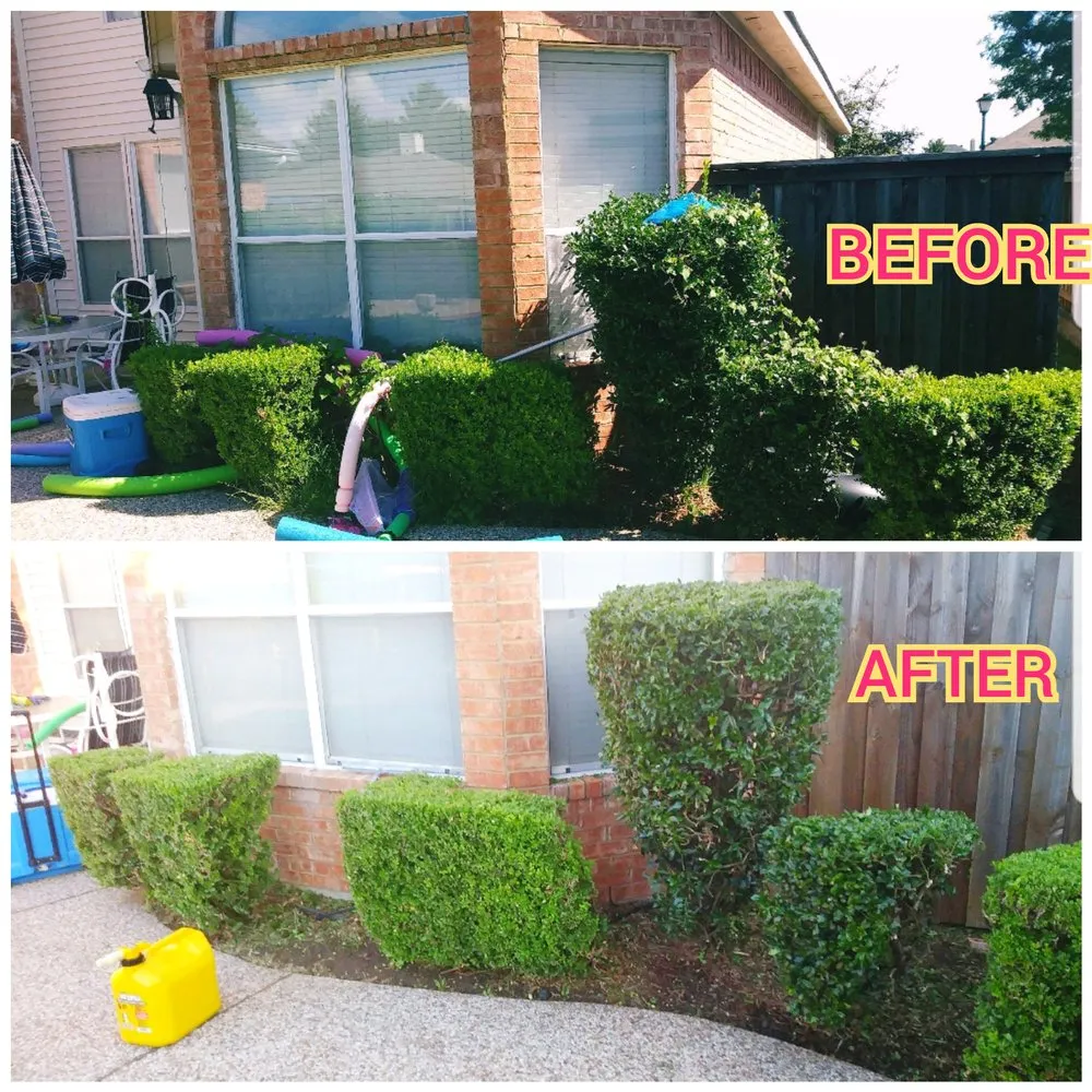 Local residential landscaping in Rowlett, TX by Arboreal Lawn & Landscape