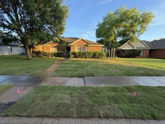 Arboreal Lawn & Landscape