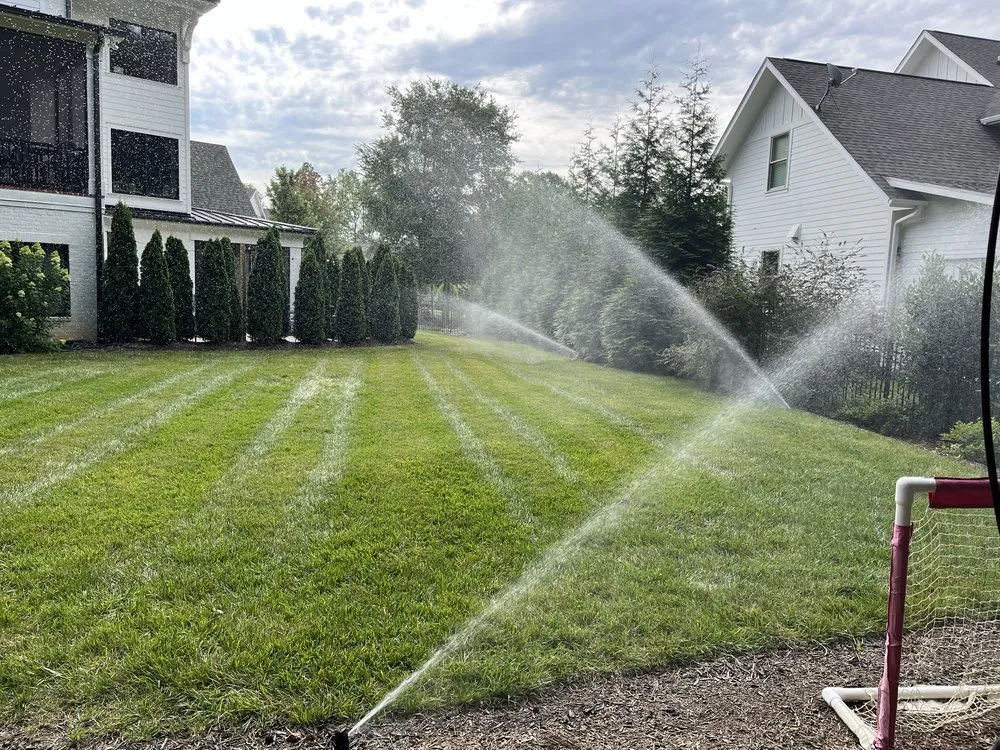 Affordable lawn care service for residential properties across Mount Pleasant, NC - Arborescent Gardens