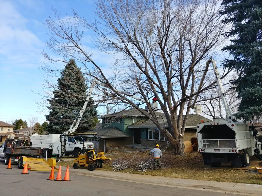 Expert lawn care service for residential properties in Littleton, CO by Arborist Arms Tree Company