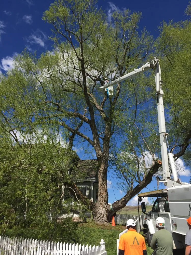 Custom lawn care service with custom design in Littleton, CO by Arborist Arms Tree Company