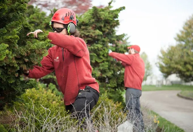 Top-rated garden landscaping experts serving Manheim, PA - Arborist Enterprises