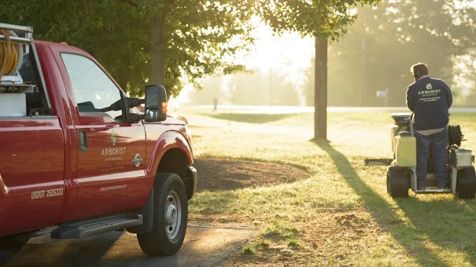 Expert lawn care service in Manheim, PA by Arborist Enterprises