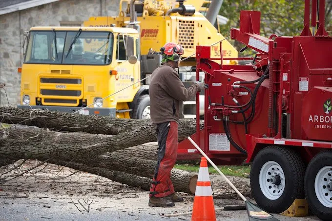Custom lawn mowing service for homes across Manheim, PA - Arborist Enterprises