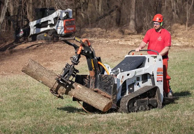Custom landscape installation for year-round maintenance in Manheim, PA by Arborist Enterprises