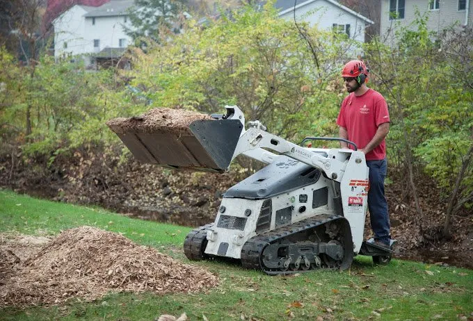Expert landscape design in Manheim, PA - Arborist Enterprises