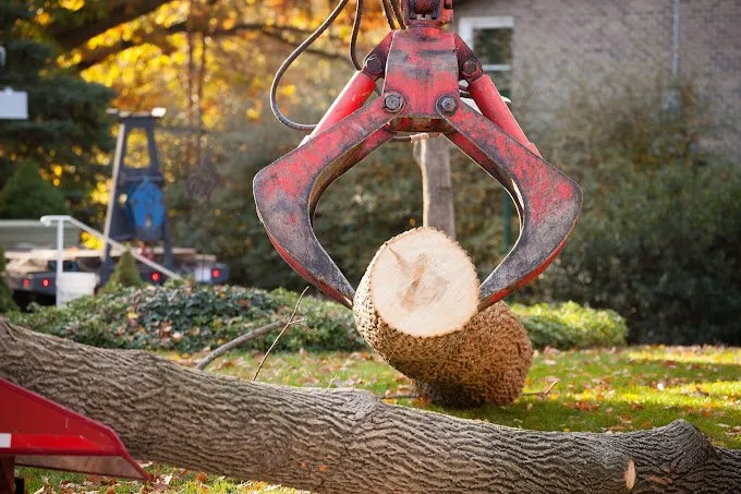 Custom yard maintenance experts serving Manheim, PA - Arborist Enterprises