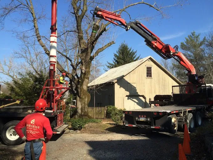 Reliable lawn care service near you across Manheim, PA - Arborist Enterprises