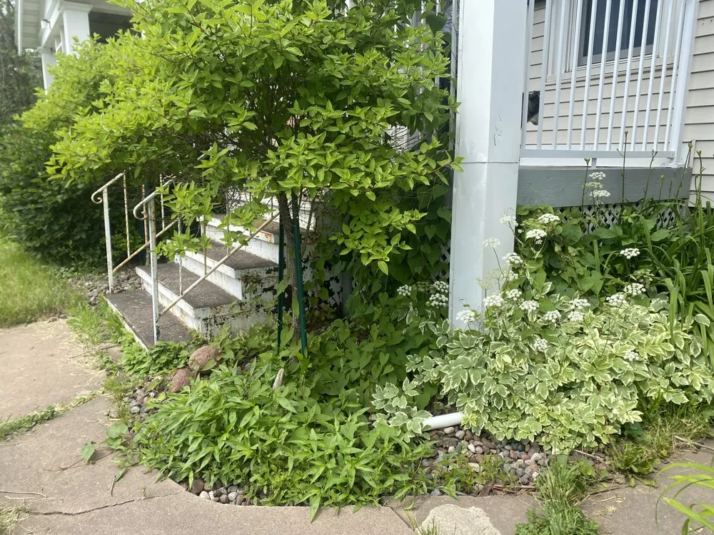 Local yard cleanup service in Duluth, MN - Arborist Landscaping