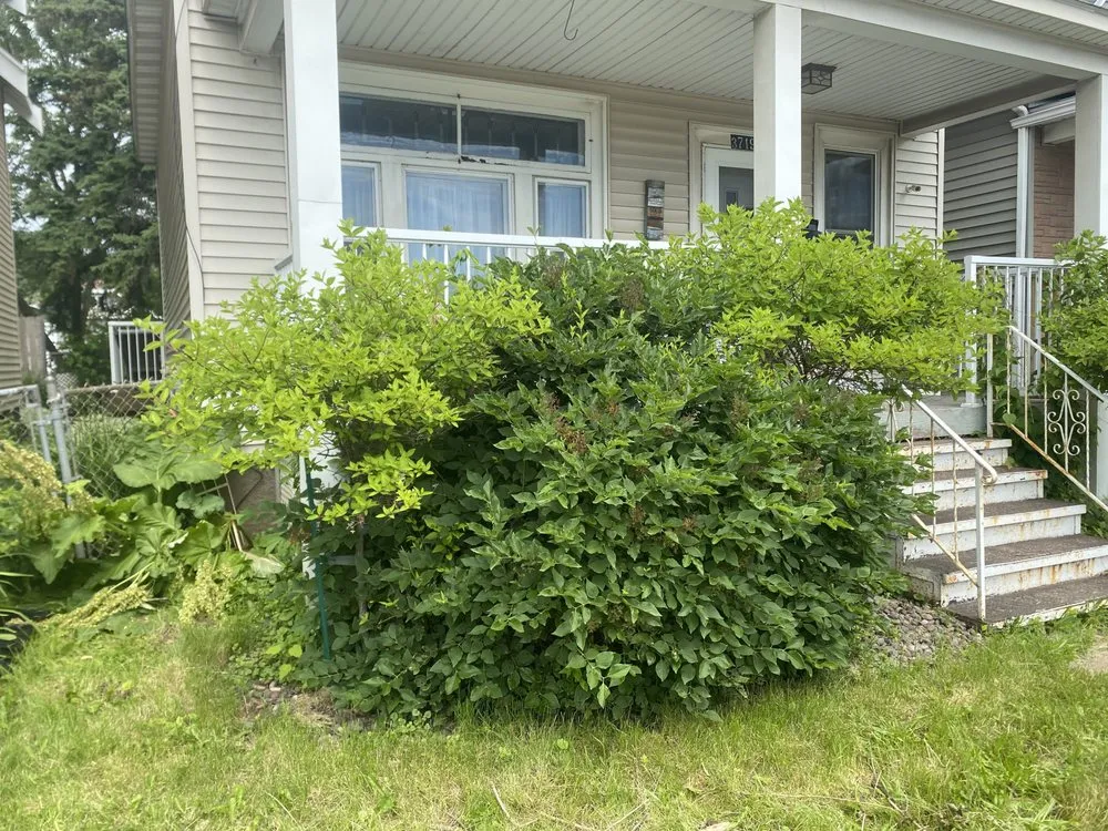 Local lawn care service for residential properties in Duluth, MN by Arborist Landscaping