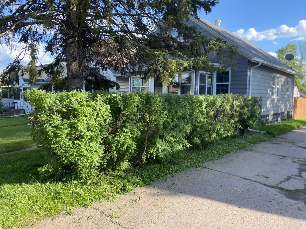 Reliable landscape installation near you across Duluth, MN - Arborist Landscaping