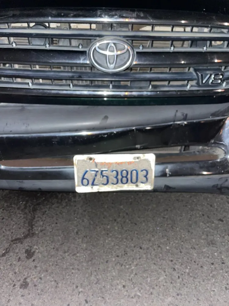 Reliable landscape installation in Encinitas, CA by Arborist Pro Landscaping & Tree Trimming