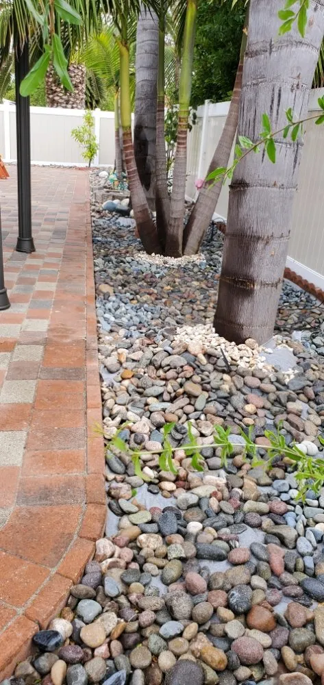 Expert yard cleanup service in Encinitas, CA by Arborist Pro Landscaping & Tree Trimming