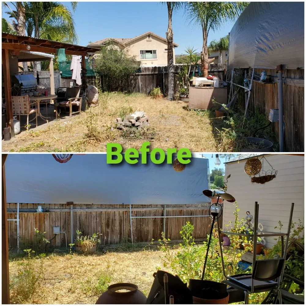 Reliable residential landscaping experts serving Encinitas, CA - Arborist Pro Landscaping & Tree Trimming