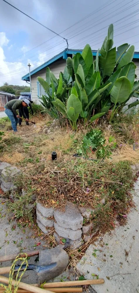 Reliable lawn mowing service with custom design in Encinitas, CA by Arborist Pro Landscaping & Tree Trimming