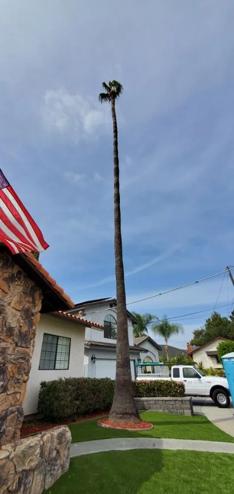 Reliable garden landscaping for outdoor upgrades across Encinitas, CA - Arborist Pro Landscaping & Tree Trimming