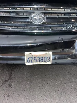 Arborist Pro Landscaping & Tree Trimming Logo