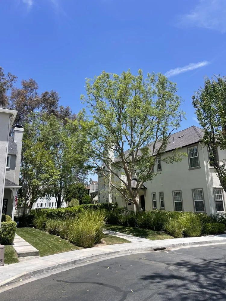 Trusted garden landscaping experts serving Santa Clarita, CA - Arboristas Tree Care & Landscape Services