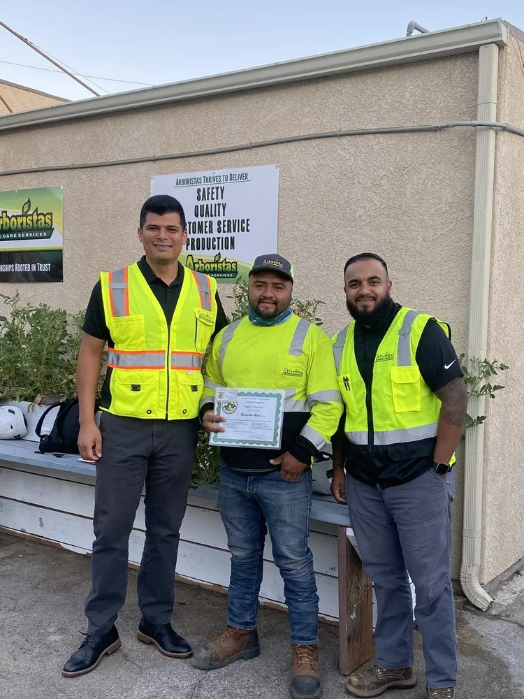 Expert yard maintenance in Santa Clarita, CA by Arboristas Tree Care & Landscape Services