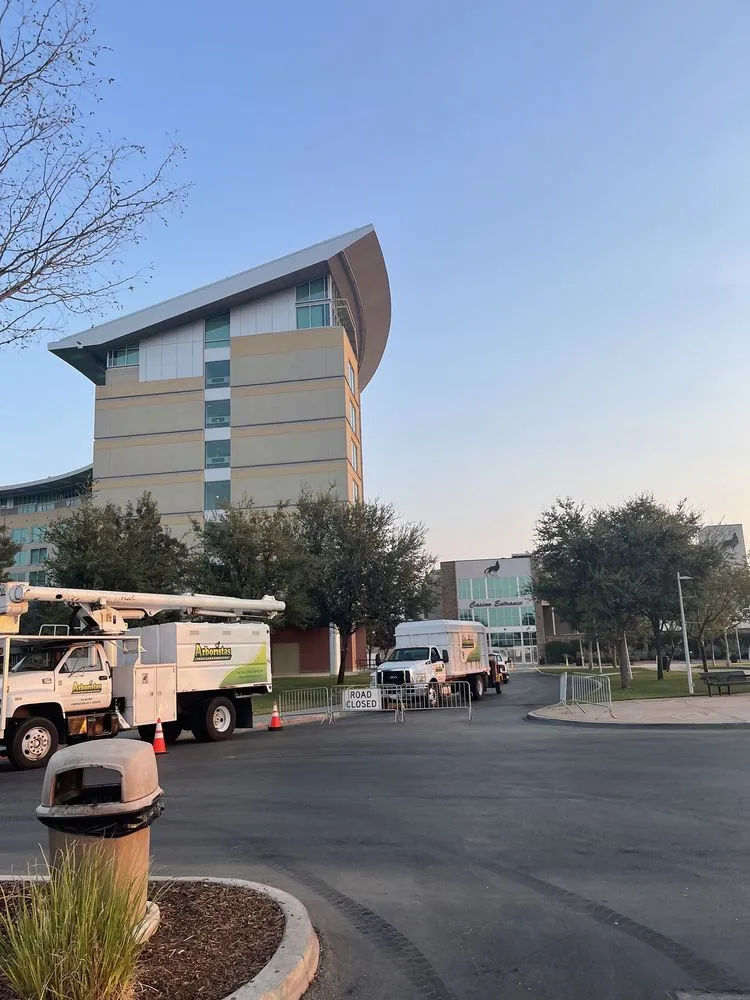 Local yard maintenance in Santa Clarita, CA by Arboristas Tree Care & Landscape Services