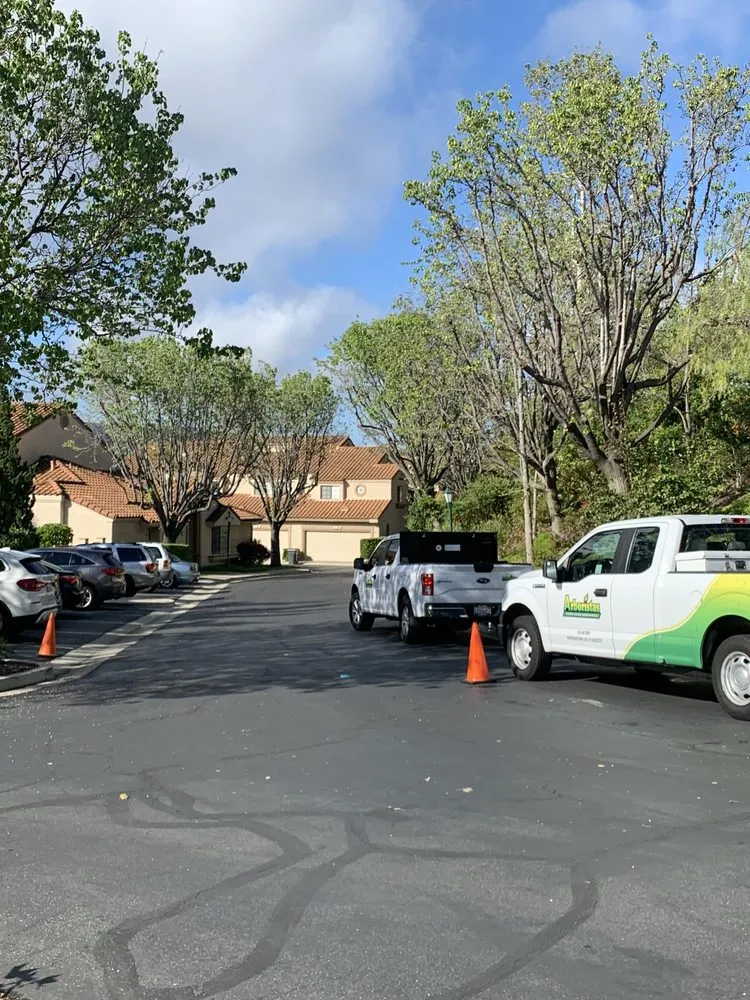 Trusted yard cleanup service experts serving Santa Clarita, CA - Arboristas Tree Care & Landscape Services