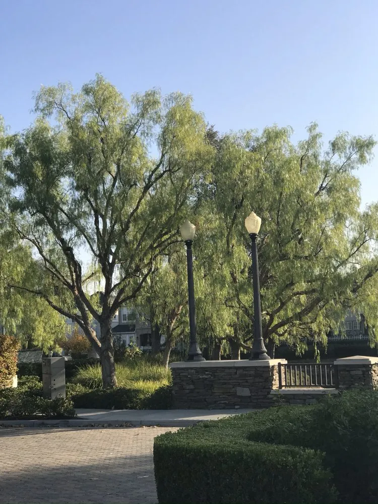 Local landscaping services in Santa Clarita, CA - Arboristas Tree Care & Landscape Services