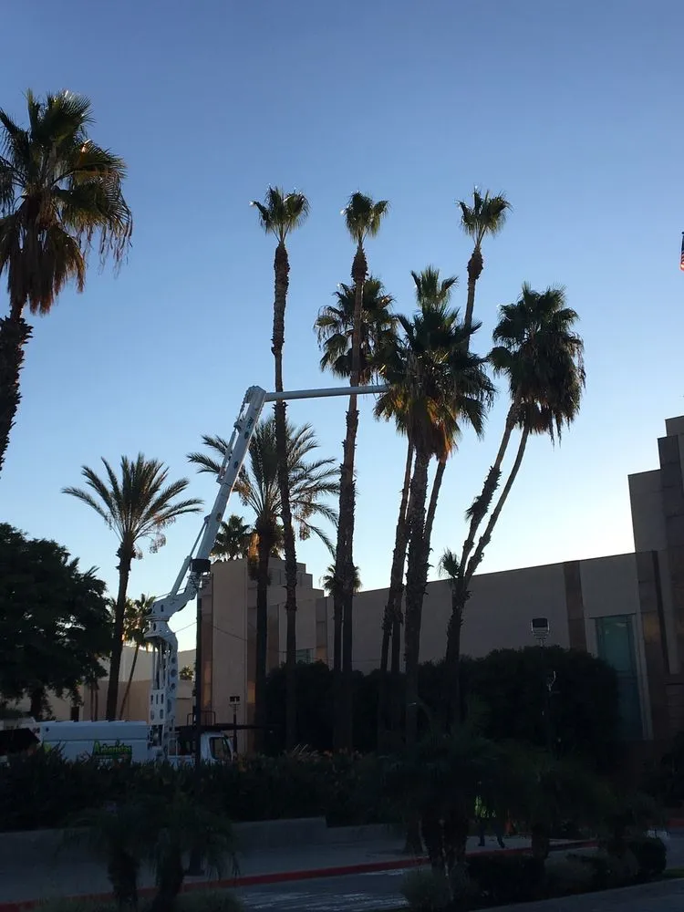 Expert lawn care service in Santa Clarita, CA by Arboristas Tree Care & Landscape Services