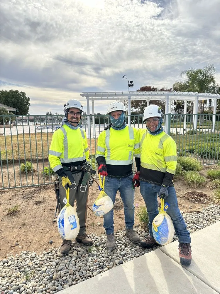 Custom lawn mowing service in Santa Clarita, CA by Arboristas Tree Care & Landscape Services