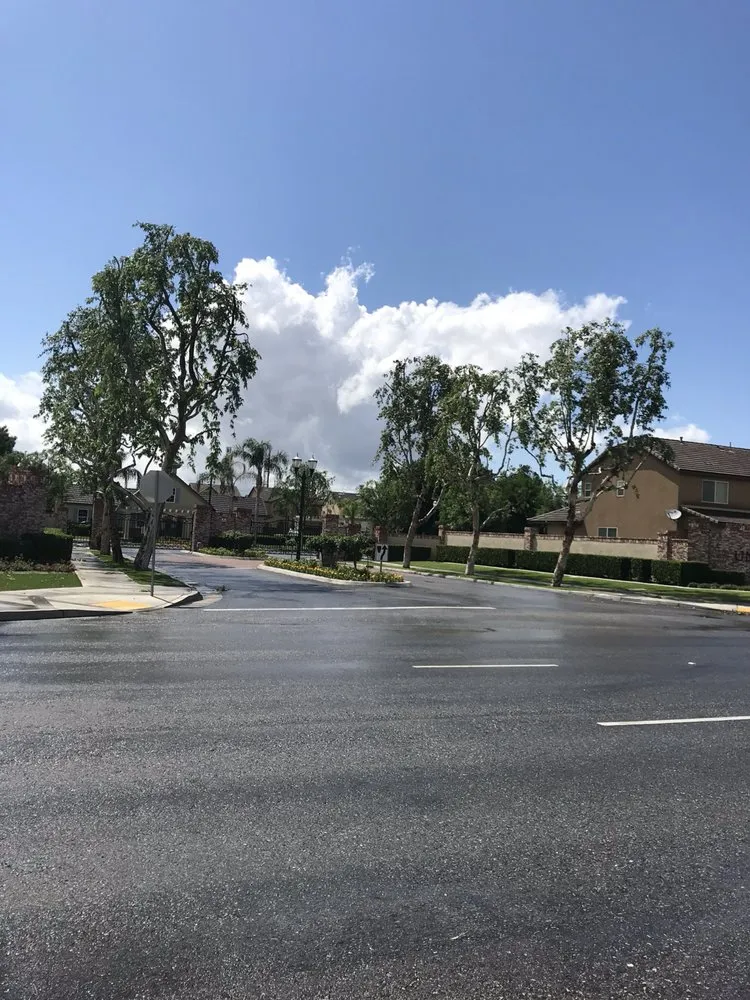 Affordable lawn mowing service in Santa Clarita, CA by Arboristas Tree Care & Landscape Services