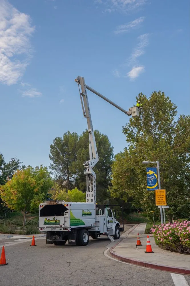 Local landscape design in Santa Clarita, CA - Arboristas Tree Care & Landscape Services