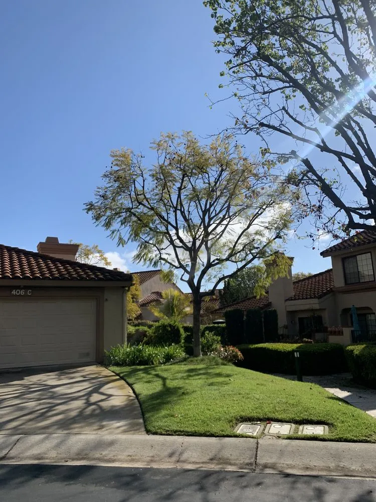 Professional yard cleanup service for year-round maintenance across Santa Clarita, CA - Arboristas Tree Care & Landscape Services