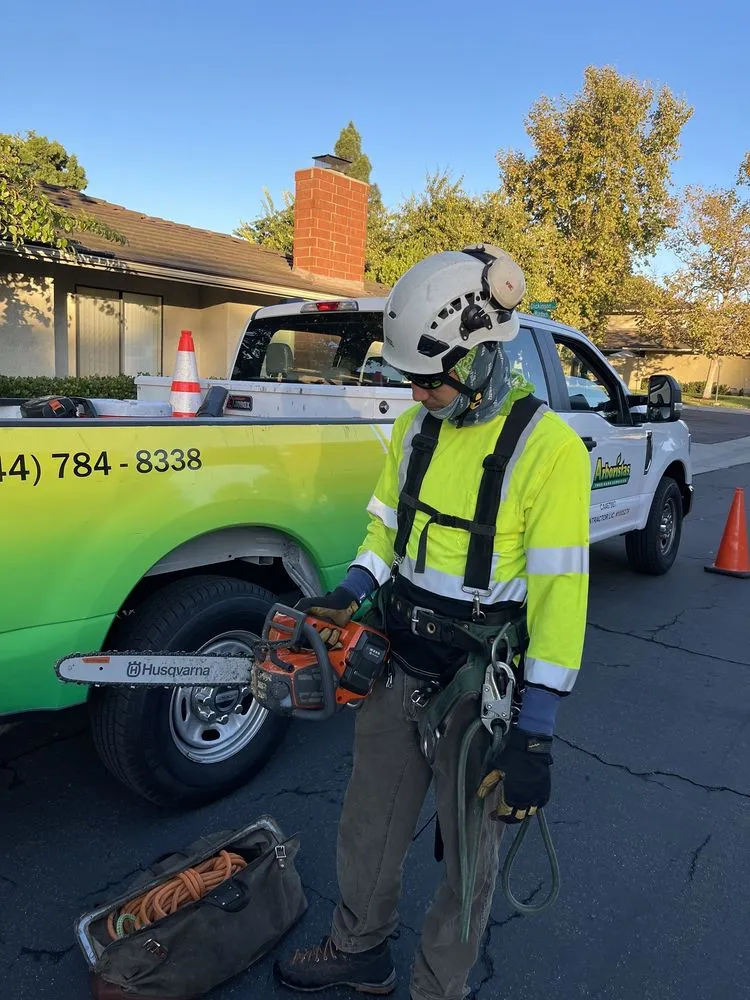 Top-rated landscape installation for year-round maintenance in Santa Clarita, CA by Arboristas Tree Care & Landscape Services