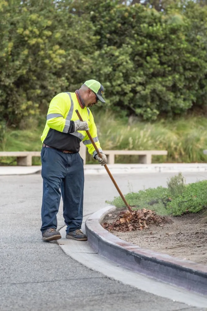 Expert lawn mowing service in Santa Clarita, CA - Arboristas Tree Care & Landscape Services