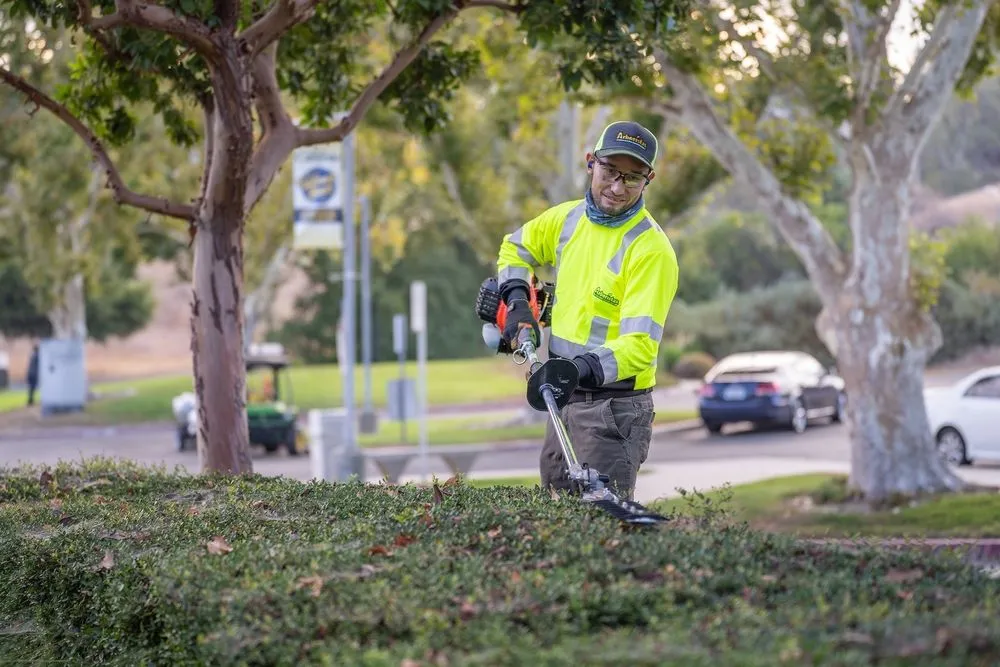 Custom landscape installation with custom design in Santa Clarita, CA by Arboristas Tree Care & Landscape Services