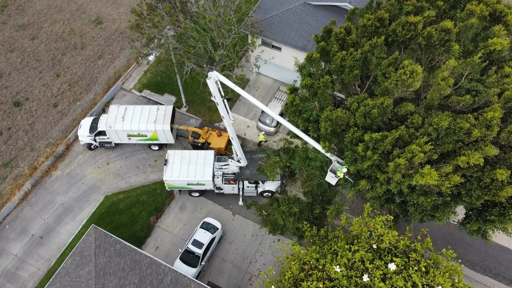 Local lawn mowing service for year-round maintenance in Santa Clarita, CA by Arboristas Tree Care & Landscape Services