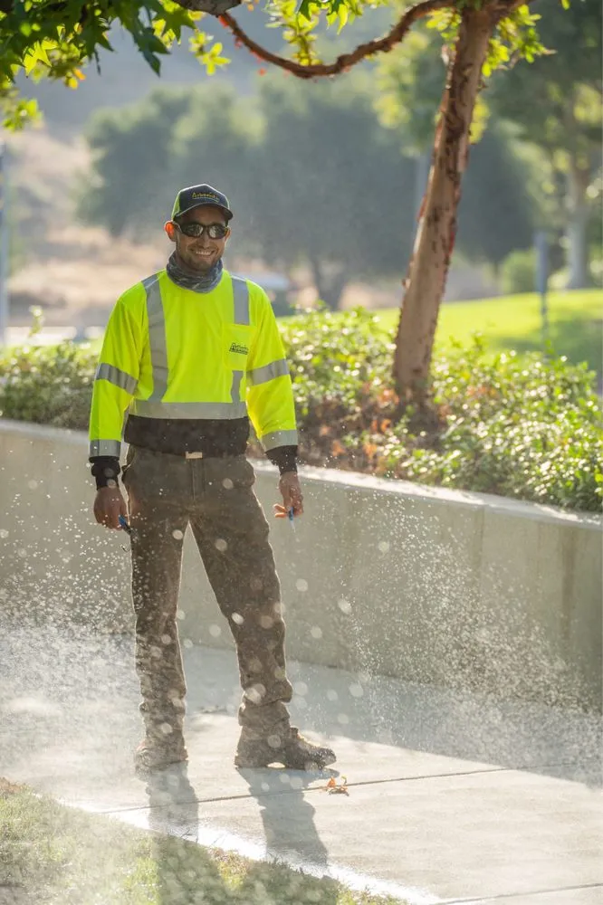 Expert landscaping services for homes across Santa Clarita, CA - Arboristas Tree Care & Landscape Services