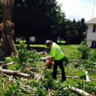 Expert lawn care service with custom design across Clear Lake, MN - Arborist's Care & Landscaping