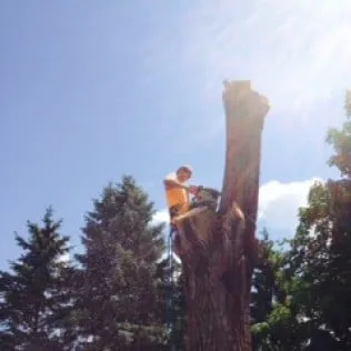Custom landscaping services experts serving Clear Lake, MN - Arborist's Care & Landscaping