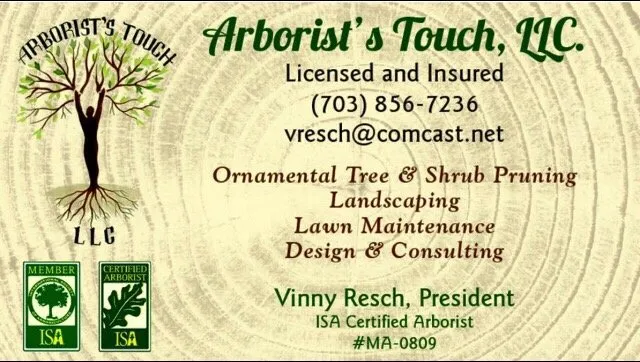 Professional lawn mowing service experts serving Front Royal, VA - Arborist's Touch