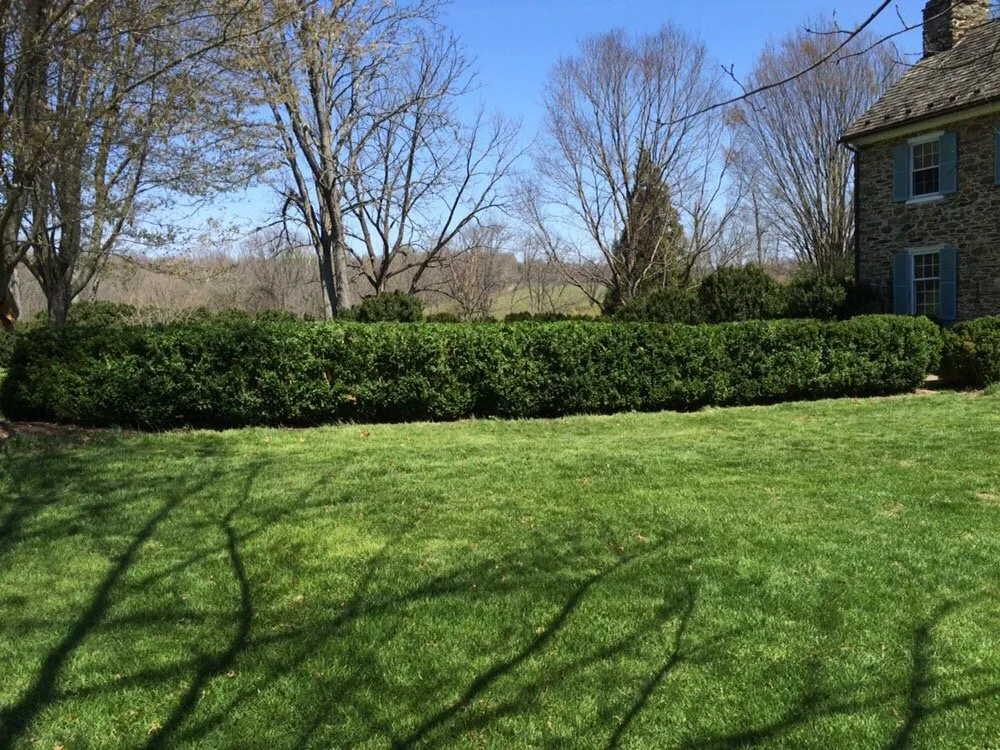 Top-rated residential landscaping experts serving Front Royal, VA - Arborist's Touch